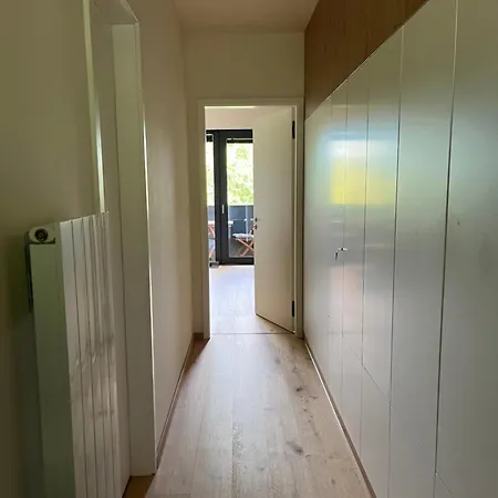 Moad V Srdci šumavy